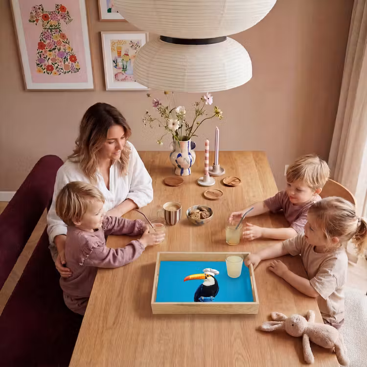 Dienblad - Tucan - Sokkel - Vogel - Koksmuts — 7