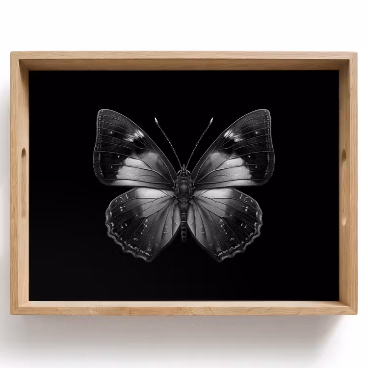 Dienblad - Vlinder - Grijs - Mysterieus — 1