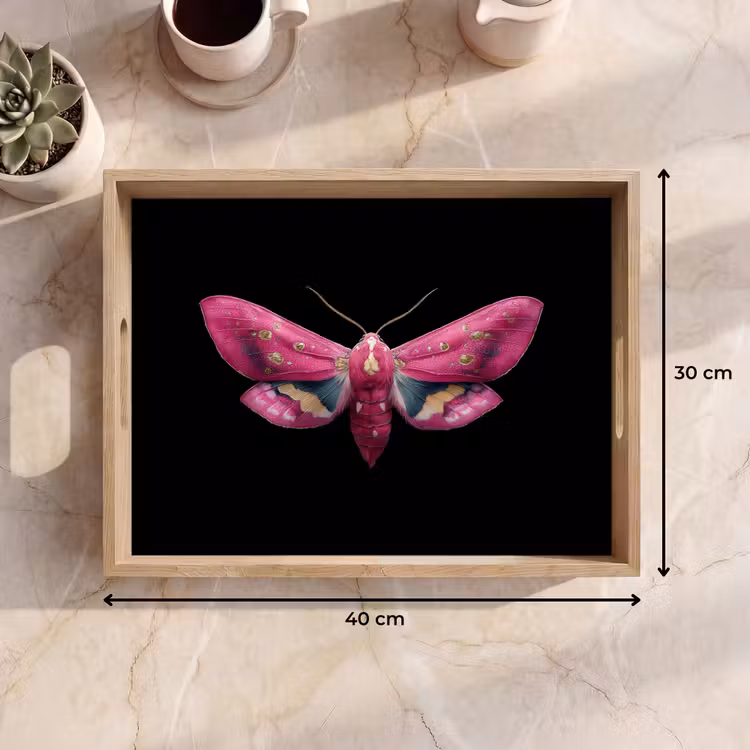 Dienblad - Vlinder - Roze - Nachtvlinder — 9