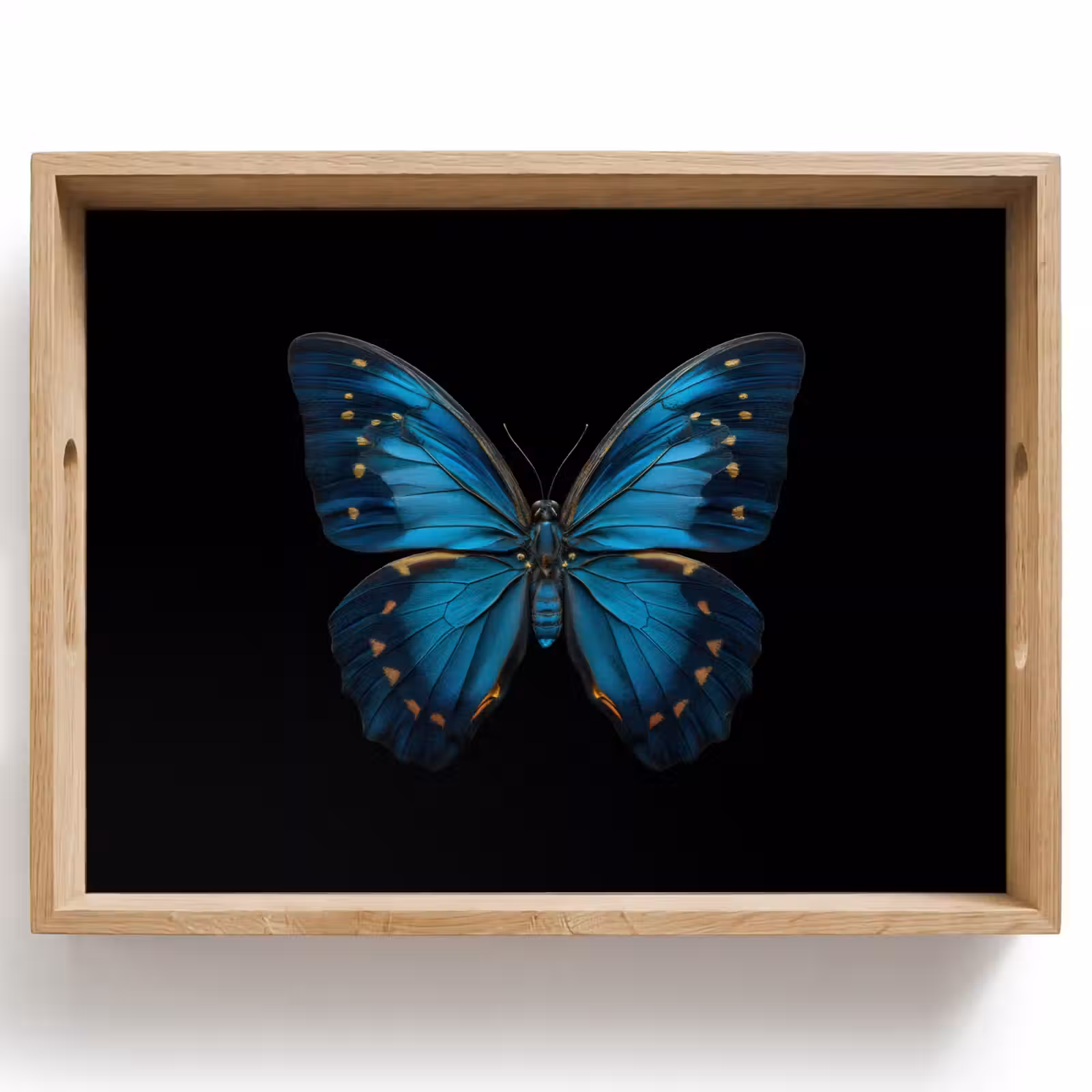 Dienblad - Vlinder - Blauw - Contrast — 1
