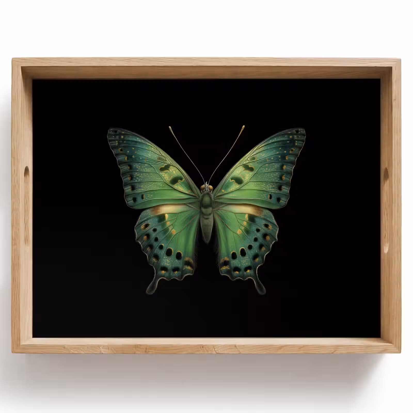 Dienblad - Vlinder - Groen - Diepte — 1