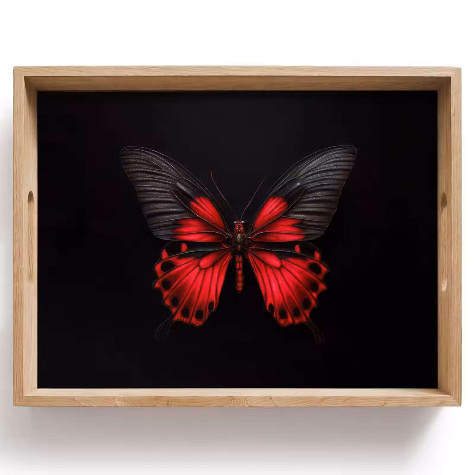 Dienblad - Vlinder - Rood - Contrast — 1