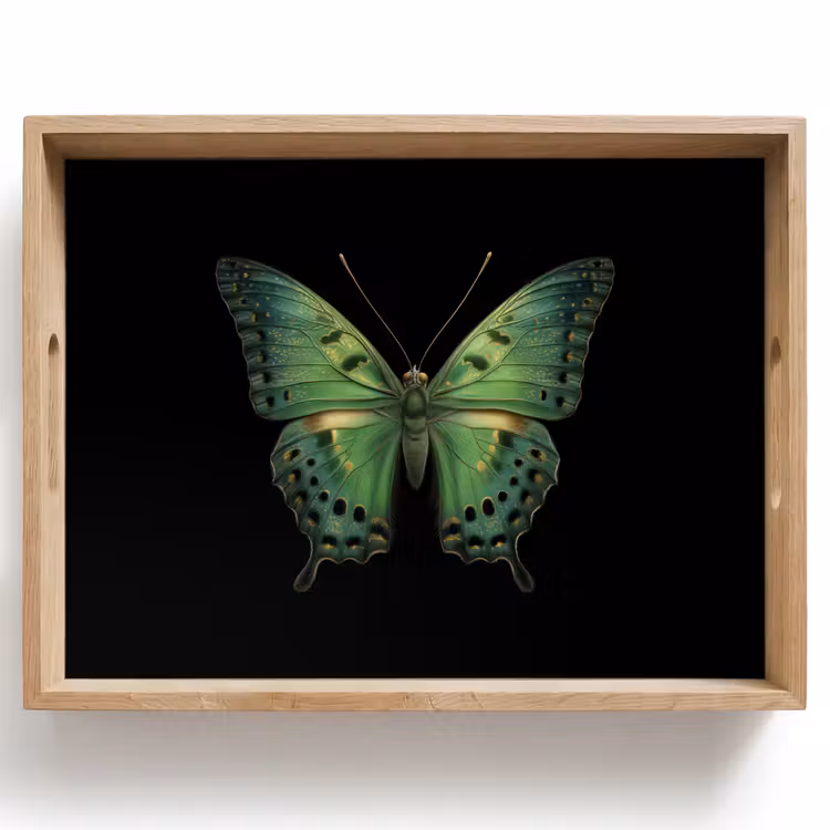 Dienblad - Vlinder - Groen - Diepte — 1