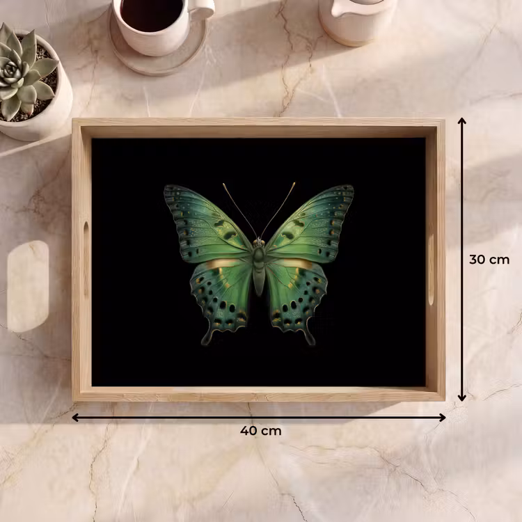 Dienblad - Vlinder - Groen - Diepte — 9