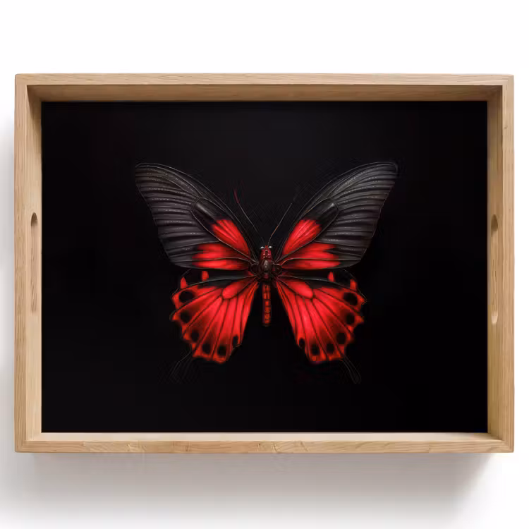 Dienblad - Vlinder - Rood - Contrast — 1