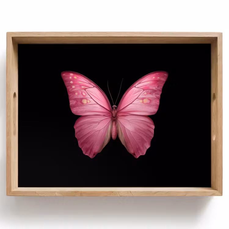 Dienblad - Vlinder - roze - Elegant — 1