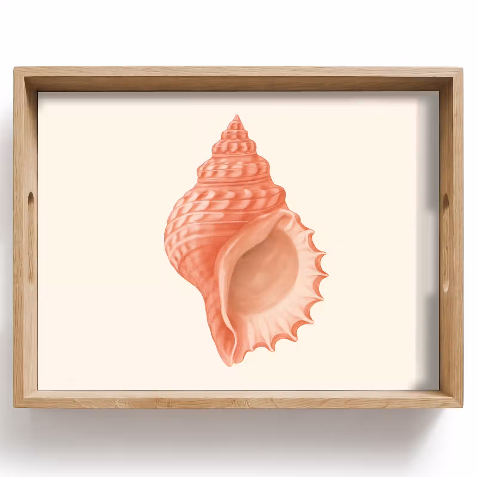 Dienblad - Schelp - Roze - Structuur — 1