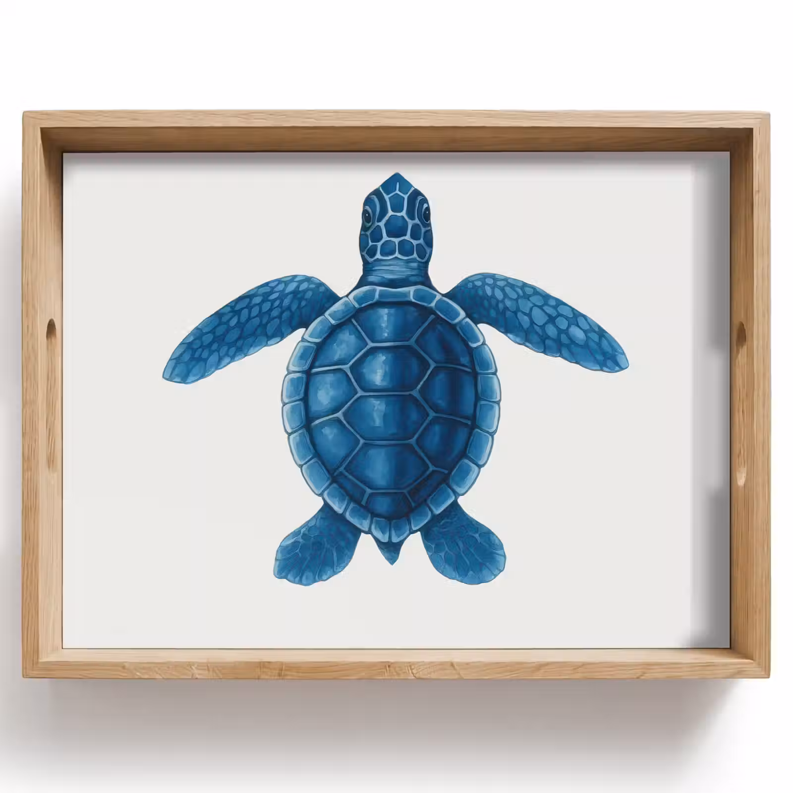 Dienblad - Schildpad - Blauw - Schild — 1