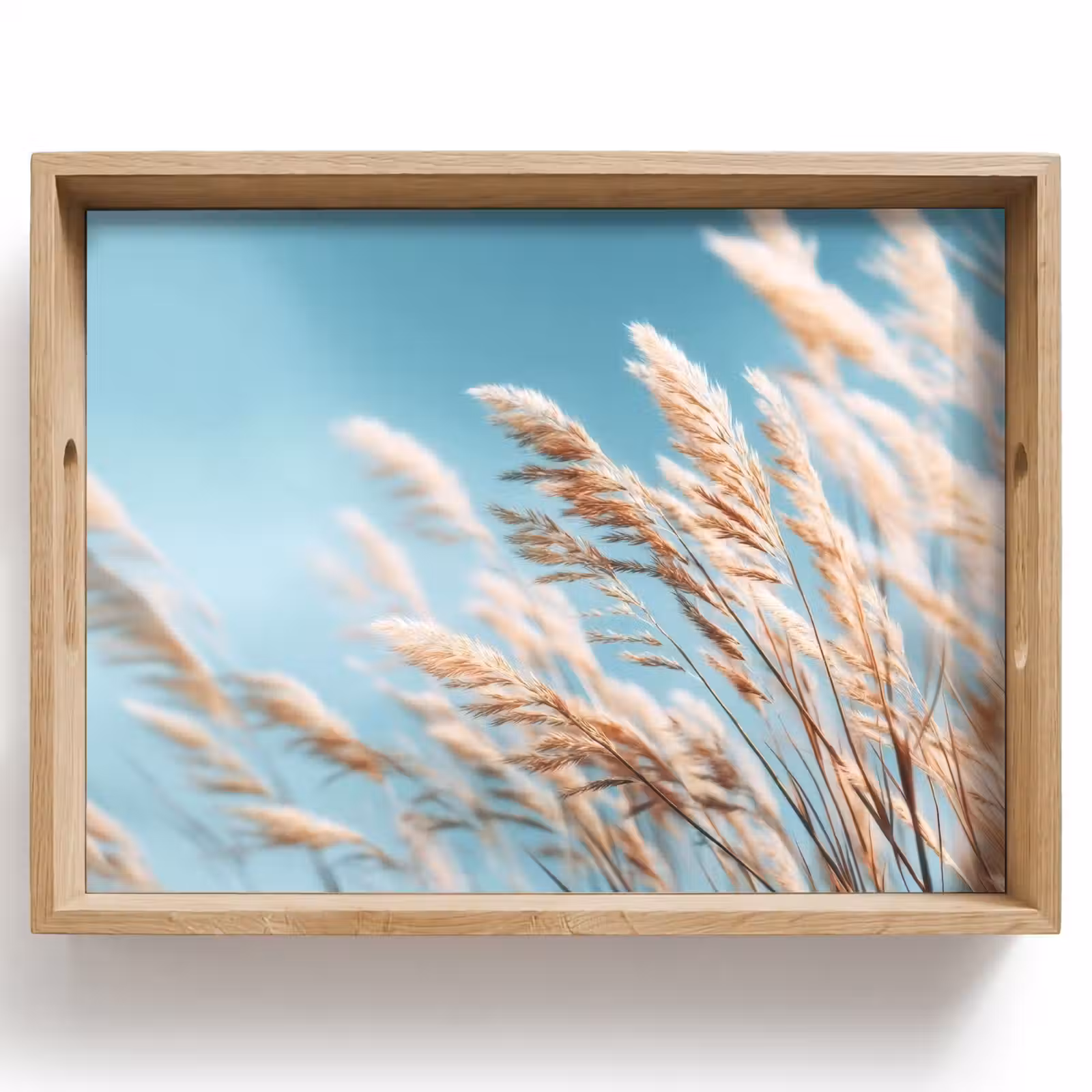 Dienblad - Siergras - Wind - Lichtbruin — 1