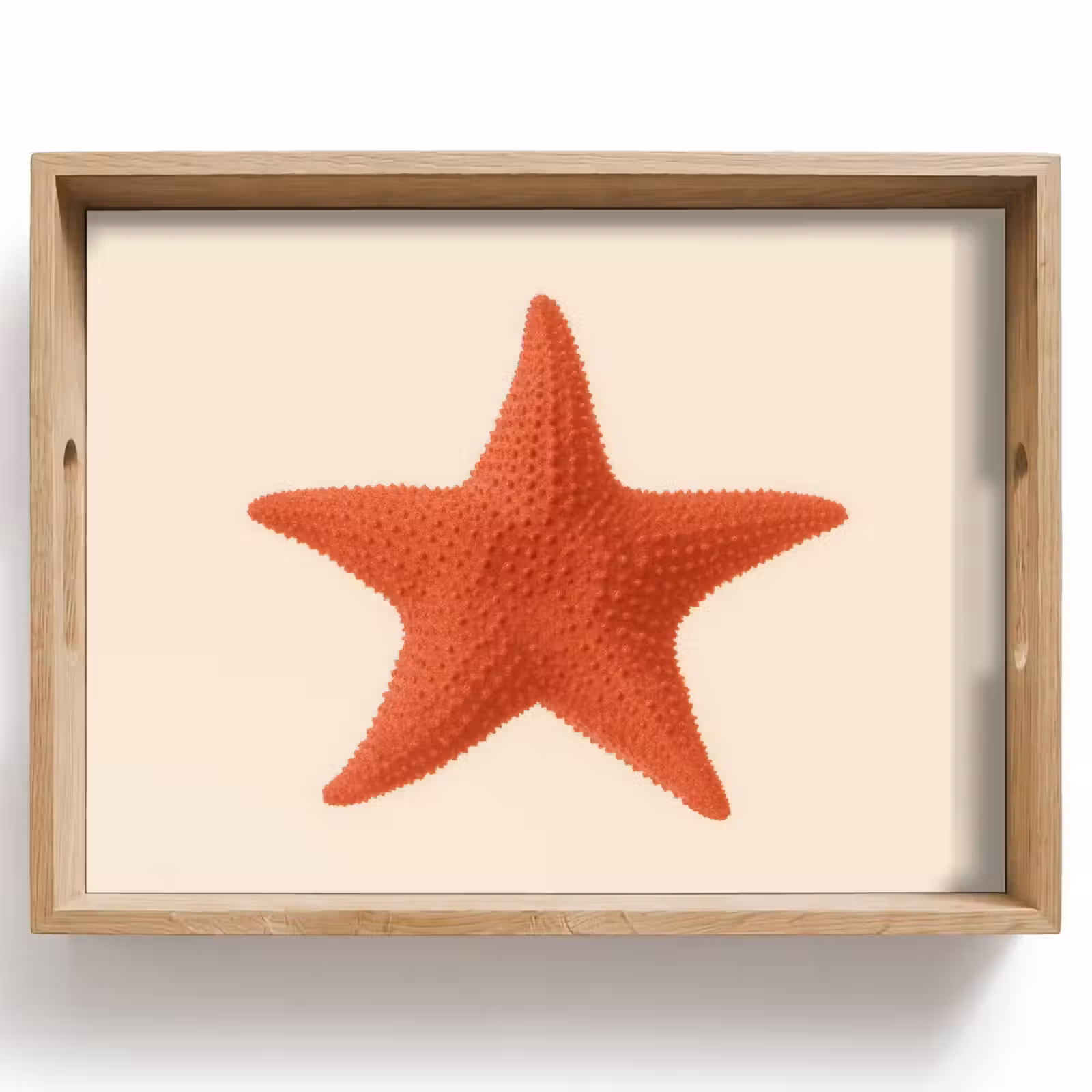 Dienblad - Zeester - Bobbels - Rood — 1