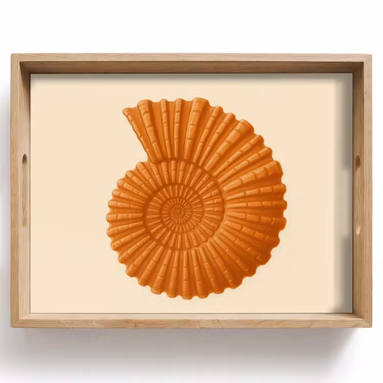 Dienblad - Schelp - Oranje - Ribbels — 1