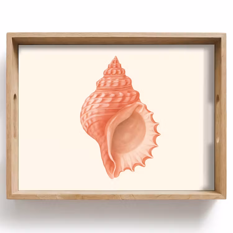 Dienblad - Schelp - Roze - Structuur — 1