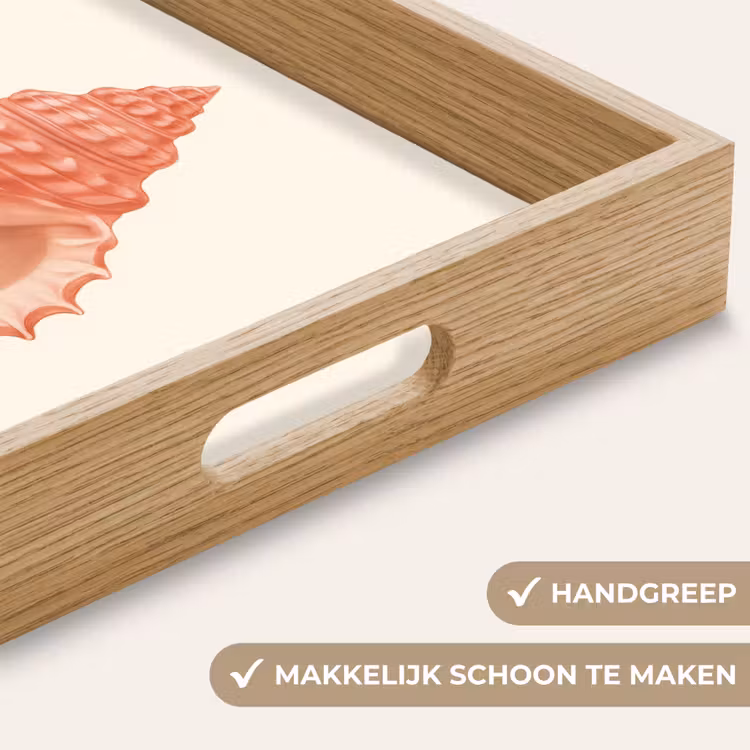 Dienblad - Schelp - Roze - Structuur — 5