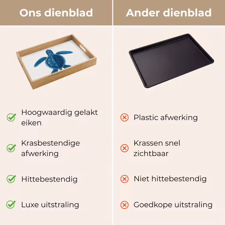 Dienblad - Schildpad - Blauw - Schild — 3