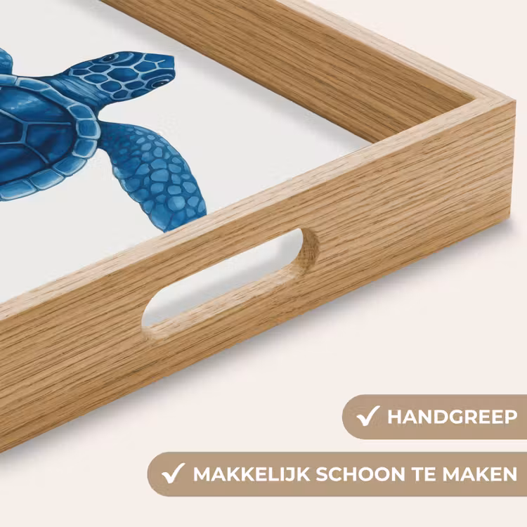 Dienblad - Schildpad - Blauw - Schild — 5