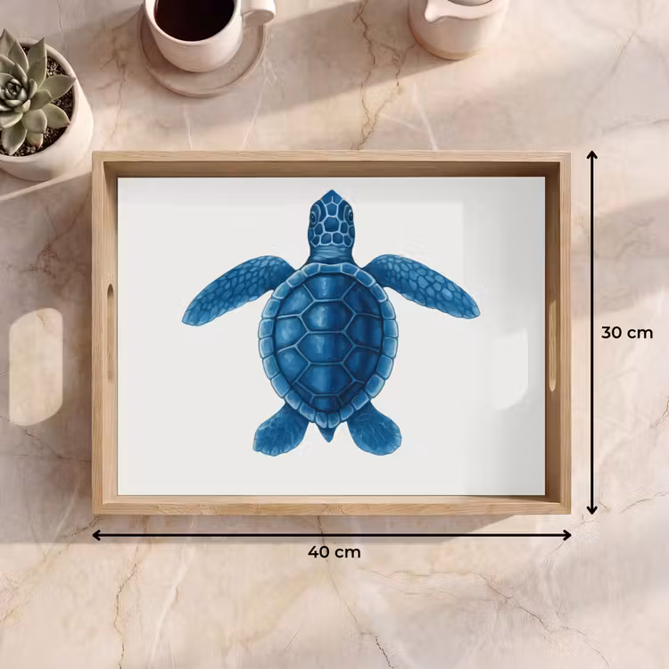 Dienblad - Schildpad - Blauw - Schild — 9