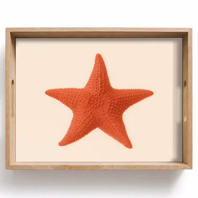 Dienblad - Zeester - Bobbels - Rood — 1