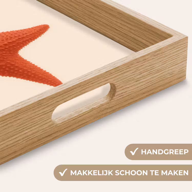 Dienblad - Zeester - Bobbels - Rood — 5