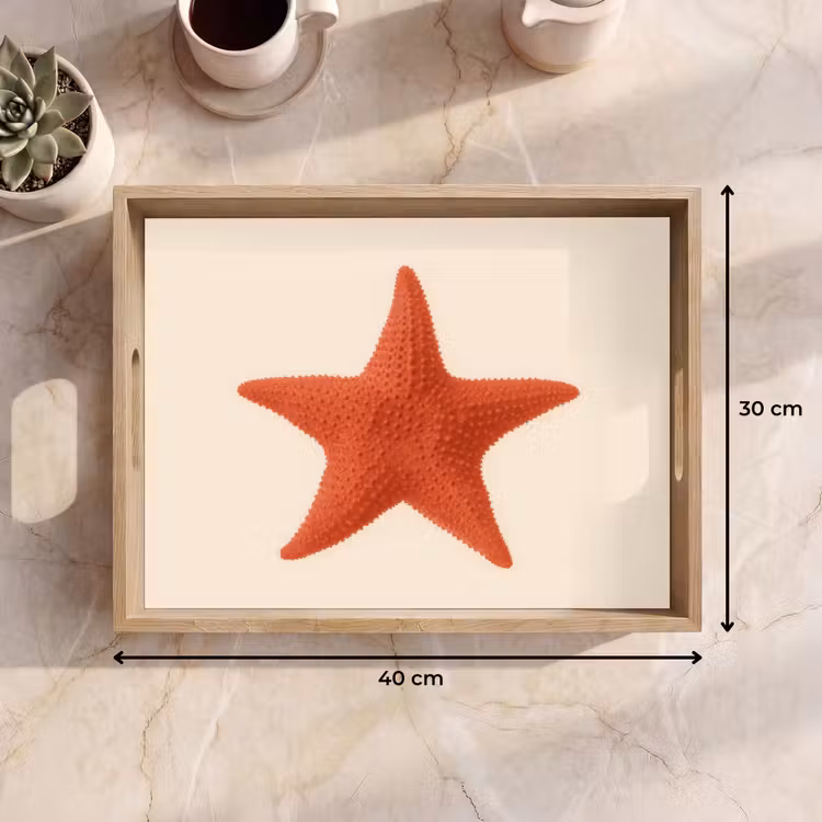Dienblad - Zeester - Bobbels - Rood — 9