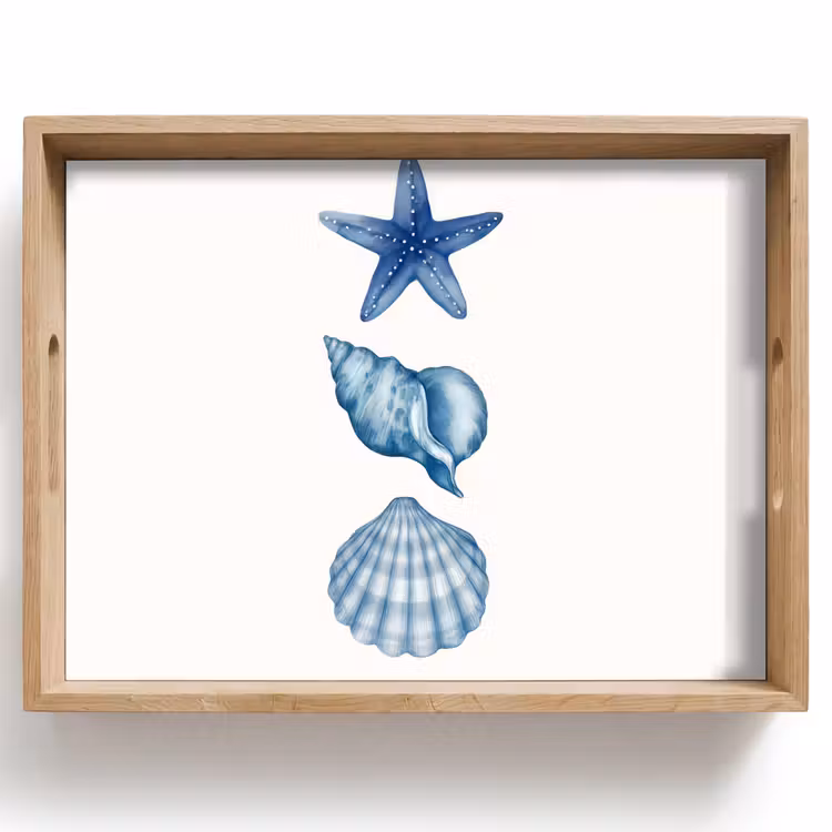 Dienblad - Zeester - Schelpen - Blauw — 1