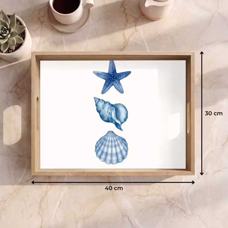 Dienblad - Zeester - Schelpen - Blauw — 9