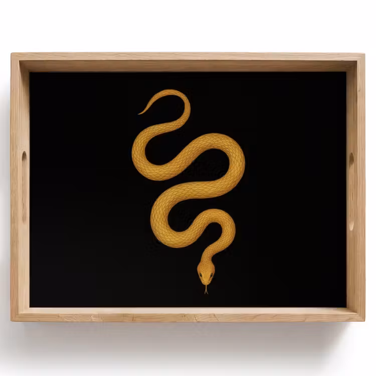 Dienblad - Slang - Minimalistisch - Goud — 1