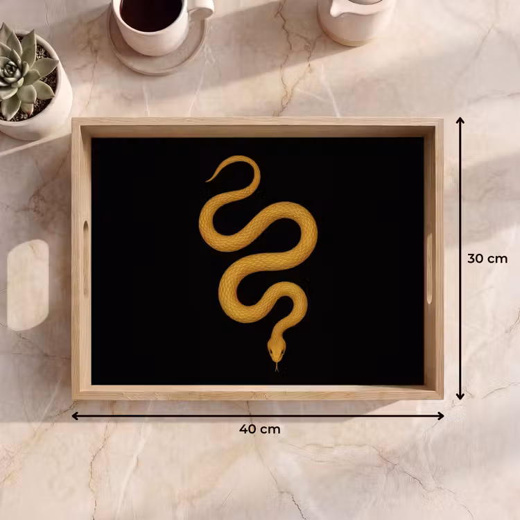 Dienblad - Slang - Minimalistisch - Goud — 9