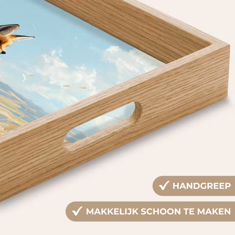 Dienblad - Vos - Gras - Wolken - Oranje — 5