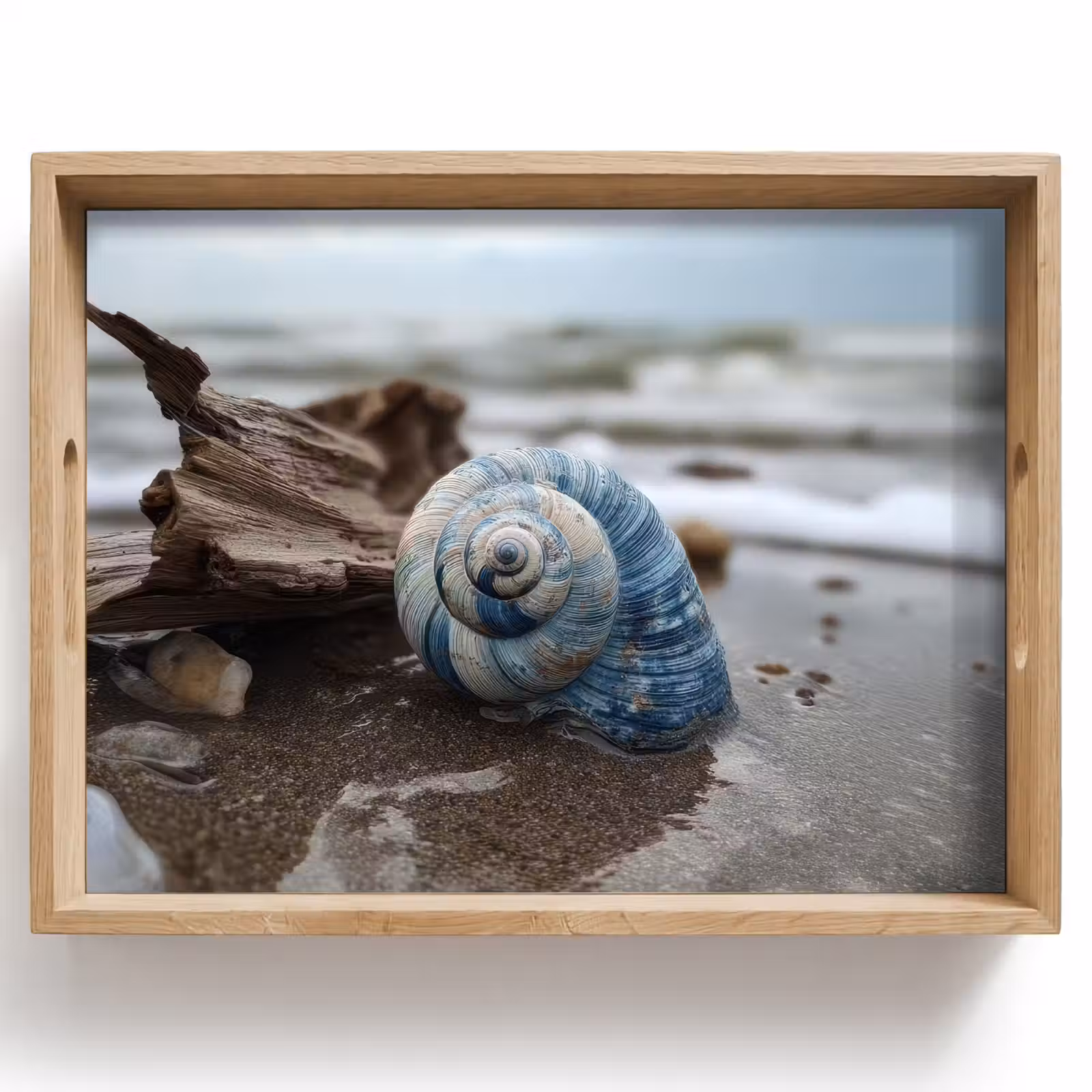 Dienblad - Schelp - Strand - Blauw - Zee — 1