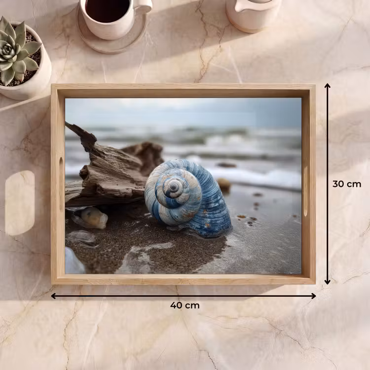 Dienblad - Schelp - Strand - Blauw - Zee — 9