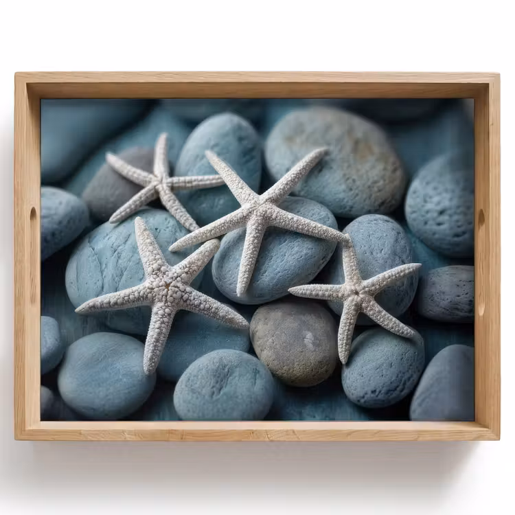 Dienblad - Zeesterren - Stenen - Wit — 1