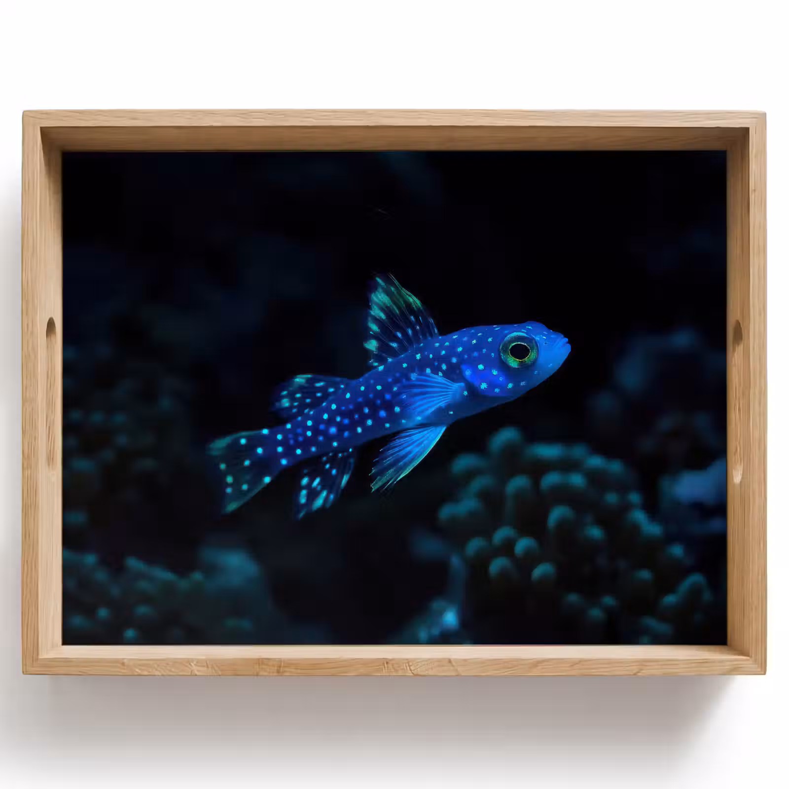 Dienblad - Vis - Stippen - Koraal - Blauw — 1