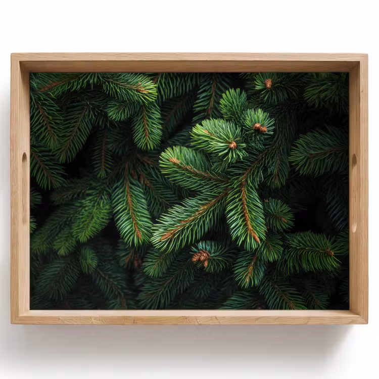 Dienblad - Sparrentakken - Knoppen - Naalden - Groen — 1