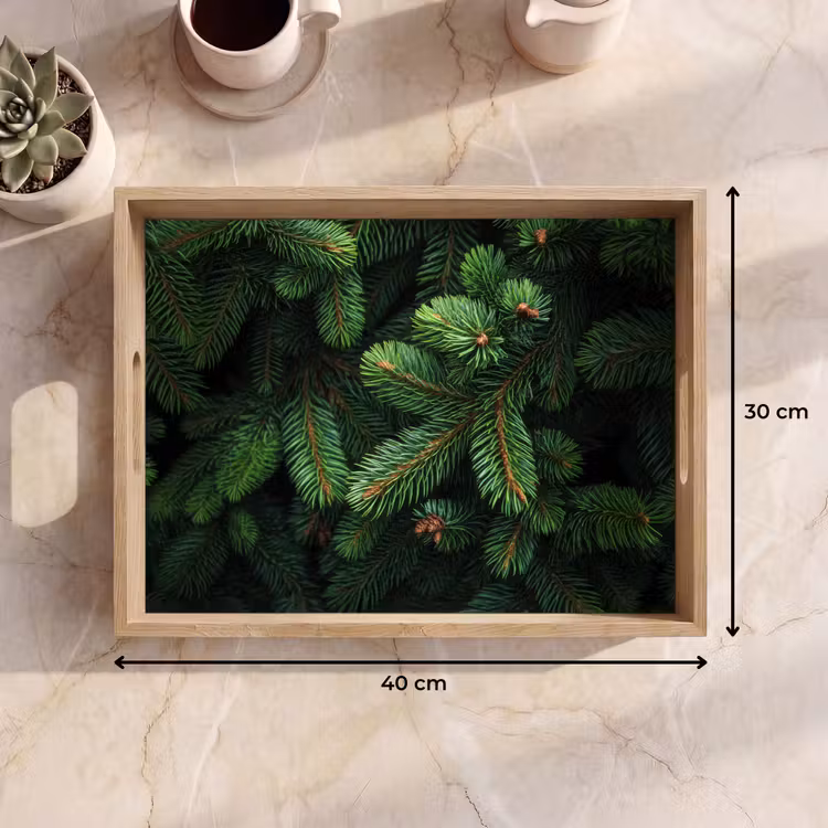 Dienblad - Sparrentakken - Knoppen - Naalden - Groen — 9