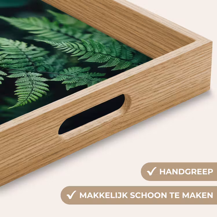 Dienblad - Varenblad - Groen - Structuur - Wazig — 5