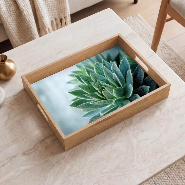 Dienblad - Vetplant - Bladeren - Groen - Wazig — 2