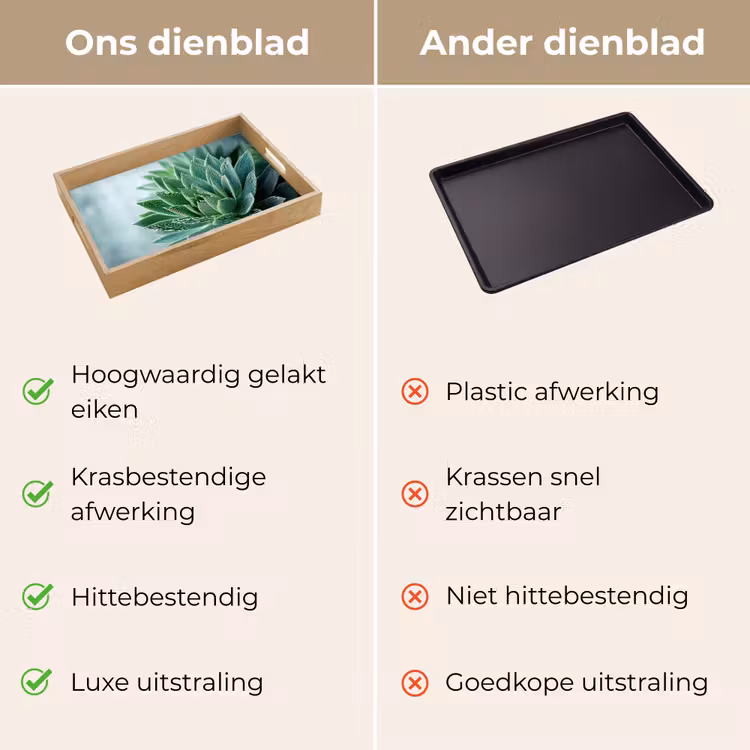 Dienblad - Vetplant - Bladeren - Groen - Wazig — 3