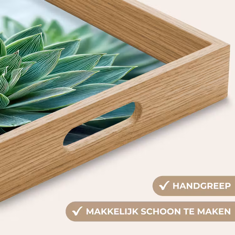 Dienblad - Vetplant - Bladeren - Groen - Wazig — 5