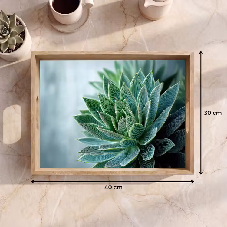 Dienblad - Vetplant - Bladeren - Groen - Wazig — 9