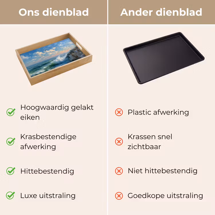 Dienblad - Zee - Golven - Rotsen - Meeuwen — 3