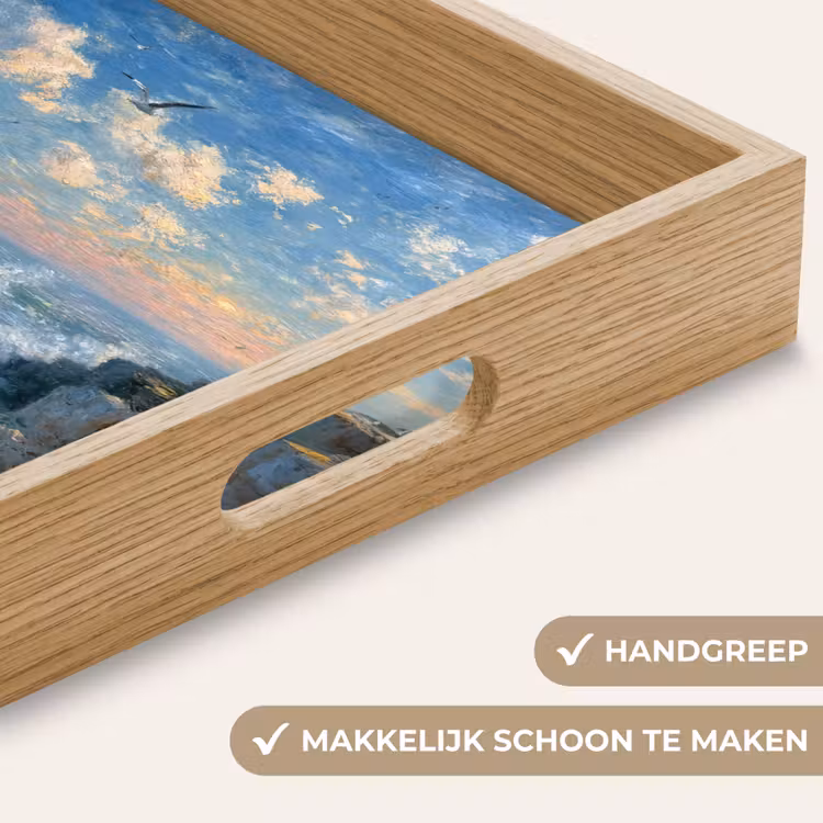 Dienblad - Zee - Golven - Rotsen - Meeuwen — 5
