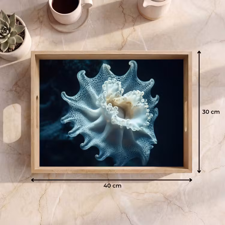 Dienblad - Zeewezen - Wit - Golven - Water — 9