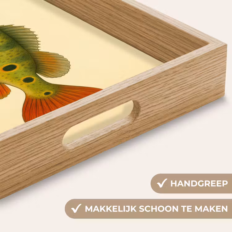 Dienblad - Schubben - Vis - Groen - Illustratie — 5