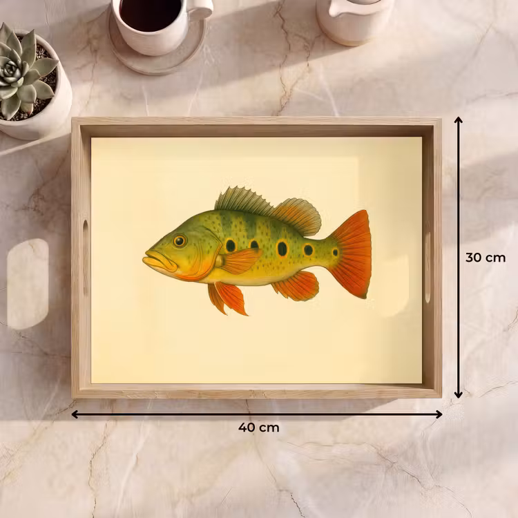 Dienblad - Schubben - Vis - Groen - Illustratie — 9