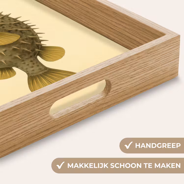 Dienblad - Stekels - Vis - Opgeblazen - Bruin — 5