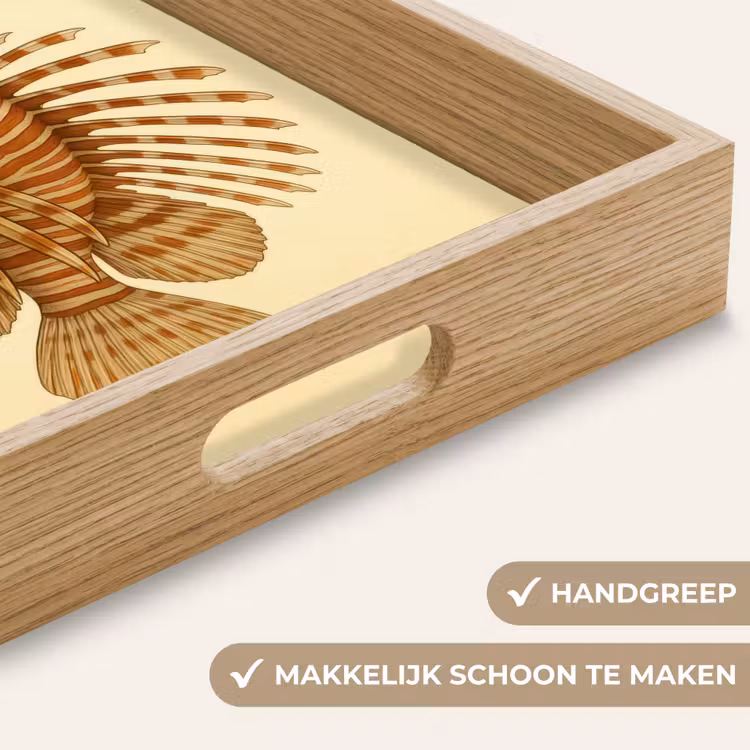 Dienblad - Strepen - Vis - Rond - Stekels — 5