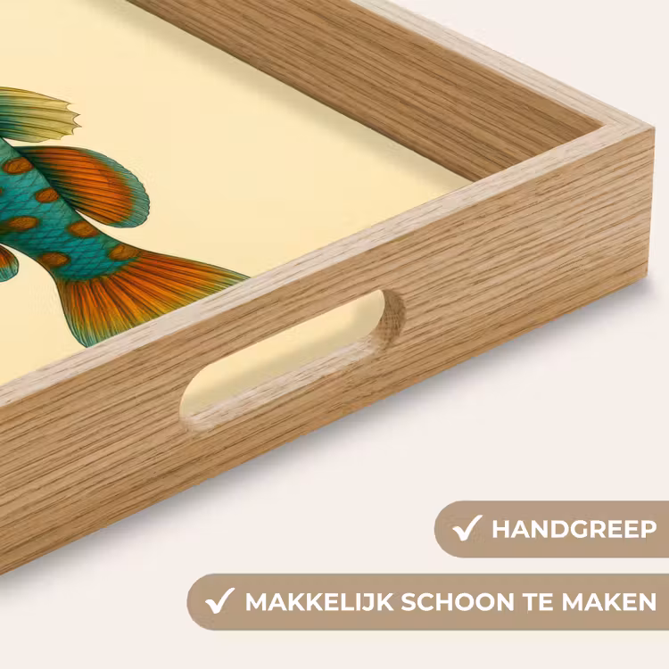 Dienblad - Vis - Blauw - Stippen - Schubben — 5