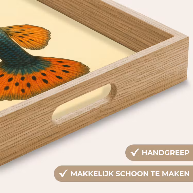 Dienblad - Vis - illustratie - Stippen - Oranje — 5