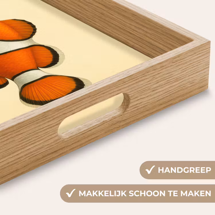 Dienblad - Vis - Oranje - Strepen — 5