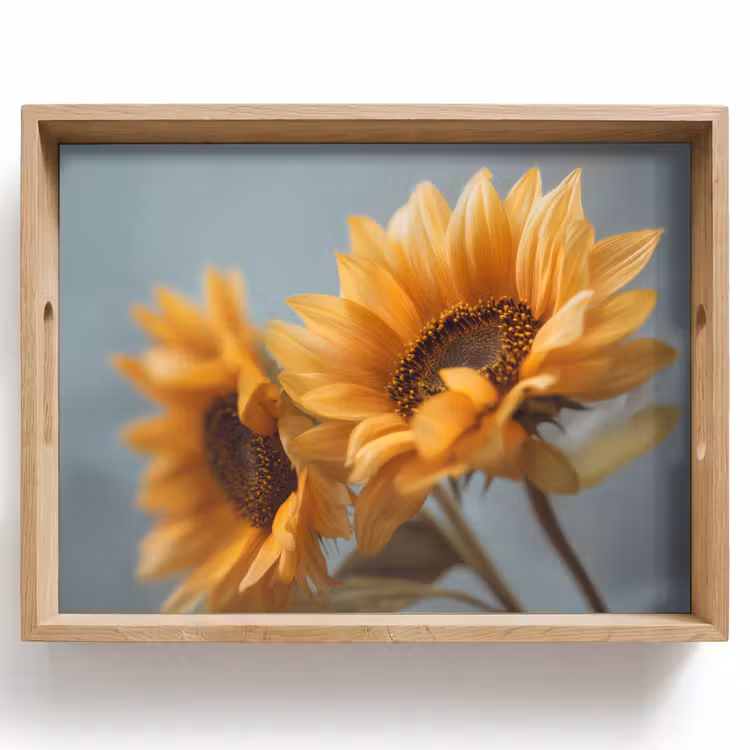 Dienblad - Zonnebloemen - Geel - Wazig — 1